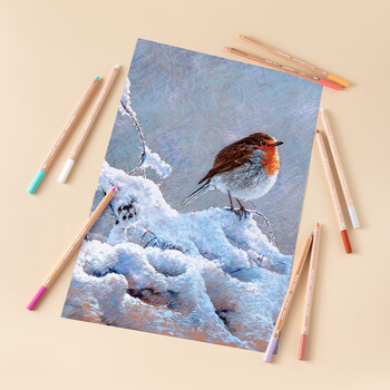凯兰帝卡达单支补色PastelPencil艺术家粉彩铅笔套装软性色粉铅画笔美术绘画铅笔彩色钢灰色788004画画笔