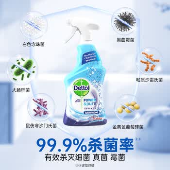 滴露（Dettol）浴室清洁剂750ml玻璃厕所卫生间马桶清洁剂泡沫洁厕液喷雾