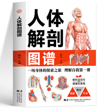奈特人体解剖图谱- 京东
