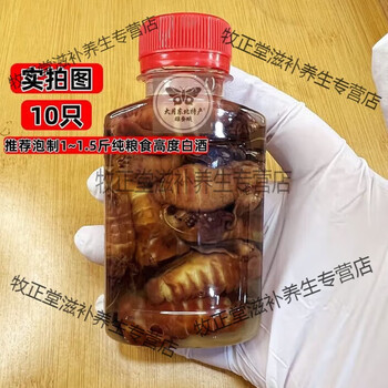 蚕蛹泡酒品牌及商品- 京东