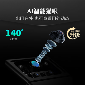 德施曼(DESMAN)智能门锁C级锁芯人脸识别大屏密码电子锁大圣Q5FPro(新性能版) 德施曼(DESMAN)智能门锁C级锁芯人脸识别大屏密码电子锁大圣Q5FPro(新性能版)