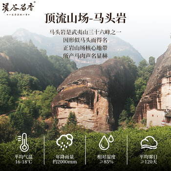 溪谷留香乌龙茶真脉武夷岩茶马头岩肉桂一级60g 中火茶叶礼盒装 端午送礼