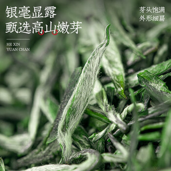 福茗源茶叶 黄山毛峰绿茶 浓香特级三等明前新茶安徽春茶嫩芽罐装40g