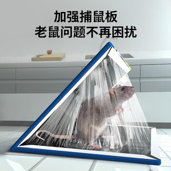 坤宁王粘鼠板老鼠贴超强力粘板捕鼠一窝端神器灭鼠家用大号加厚加粘