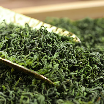 越峰一级高山云雾绿茶春茶新茶叶浓香绿茶自己喝实惠口粮好茶袋装250g