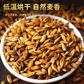 朕皇北京同仁堂大麦茶特级正品精选大粒烘焙浓香搭回奶宝断奶退奶250g