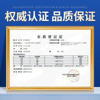 Dr.Riley下水道杀虫剂床虱跳蚤专用喷雾剂厨房管道小飞虫克星臭虫药猫狗