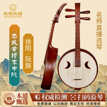 乐海中阮价格报价行情- 京东