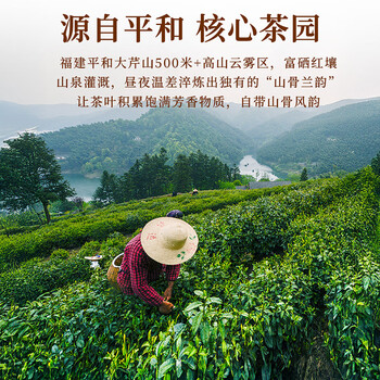 七春茶叶白芽奇兰新茶浓香型福建平和乌龙茶500g节日送长辈自己喝