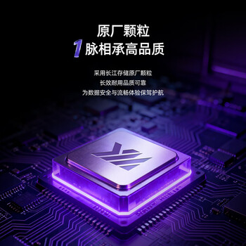 致态(ZhiTai)长江存储 1TB SSD固态硬盘 SATA 3.0 接口 致态小翼S001系列 致态(ZhiTai)长江存储 1TB SSD固态硬盘 SATA 3.0 接口 致态小翼S001系列