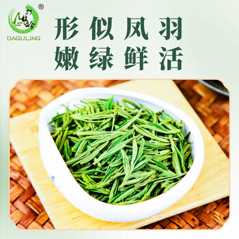 打鼓岭茶叶绿茶 正宗安吉白茶新茶春茶明前100克中秋礼盒送人