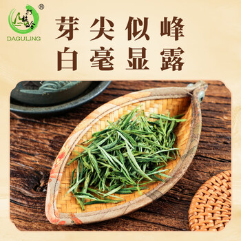 打鼓岭茶叶绿茶 正宗黄山毛峰200克春茶新茶（送礼袋）年货礼盒送人