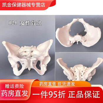 人体模型女图片- 京东