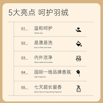 D.SIIS迪艾澌羽绒服蓬松洗涤剂专用清洗剂清洁剂洗衣液500ml去污护绒