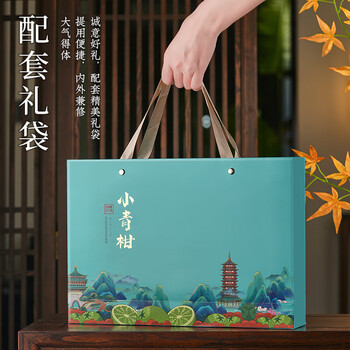 天洲溪梅江一号 小青柑 正宗生晒普洱熟茶250g茶叶礼盒送人领导长辈