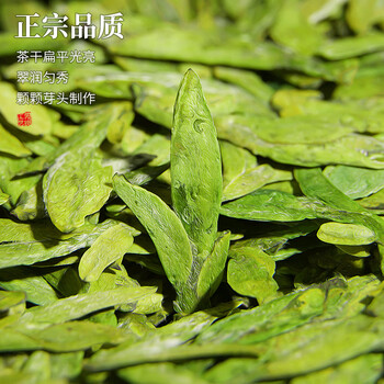 王一元茶叶龙井茶豆香250g明前绿茶新茶罐装茶叶高端礼盒年货送礼