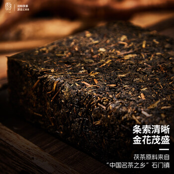 盛安长【买1送1】特级泾阳茯茶黑茶陕西西安特产送礼礼物茶叶礼盒 400g
