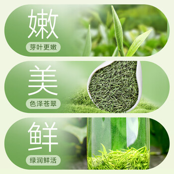 贡苑特级毛尖茶叶250g新茶明前嫩芽正宗栗香信阳口感自己喝