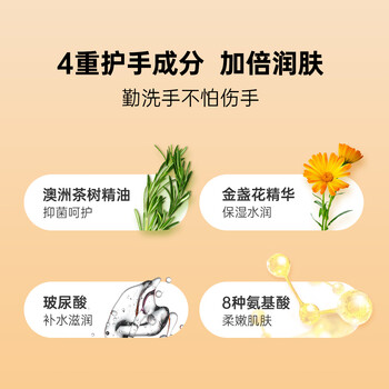 浣洗屋(Laundry House) 洗手液泡沫抑菌温和不刺激香氛家庭护理225mL 浣洗屋(Laundry House) 洗手液泡沫抑菌温和不刺激香氛家庭护理225mL