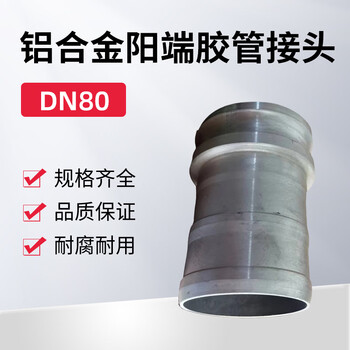 蓝宇星琳 3611铝合金阳端胶管接头DN80 1个