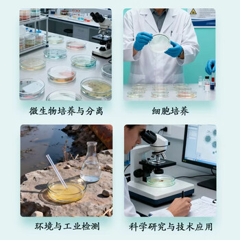 欣维尔玻璃培养皿高硼硅玻璃皿带盖细菌细胞培养皿实验室 高硼硅玻璃超平底120mm
