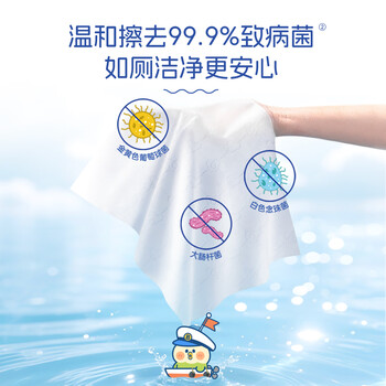 洁柔湿厕纸小鹦鹉80抽*4包清洁湿纸巾家庭装湿巾搭配卷纸擦走细菌整箱