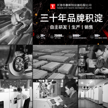 TAISITE泰斯特箱式电阻炉马弗炉高温炉恒温炉耐火炉 SX-2.5-12D