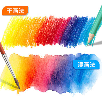 辉柏嘉（Faber-castell）水溶性彩铅笔48色彩色铅笔笔帘套装手绘专业画笔48色水溶彩色铅笔+50孔笔帘速写马克笔绘画