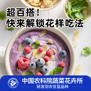 徐姬中国农科院紫色羽衣甘蓝粉青汁蔬菜膳食纤维早餐代餐粉3g*10条