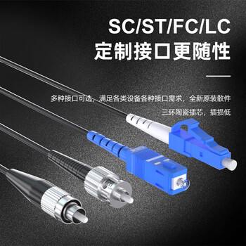 柏森德室外单模铠装成品光缆 2芯FC-FC 100米 两芯家用光纤线入户架空免熔接 BSD-2X4T-FC100