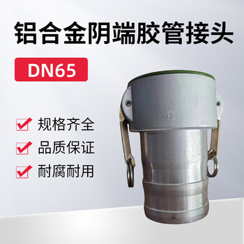 蓝宇星琳 3611铝合金阴端胶管接头DN65 1个