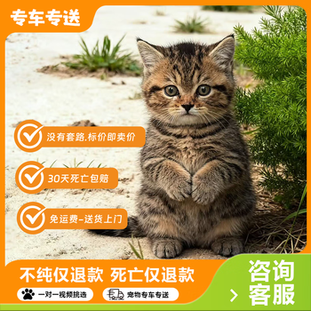 田园猫价格报价行情- 京东