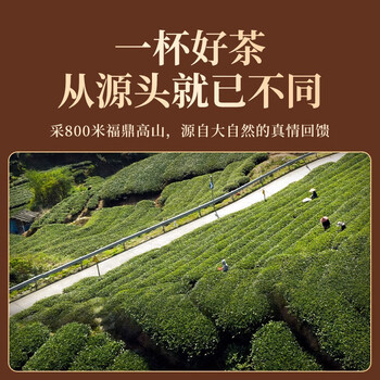 传奇会茶叶福鼎白茶2018年寿眉散茶陈年老白茶礼盒装500g自己喝送礼