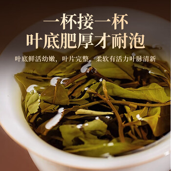 传奇会茶叶福鼎白茶2018年寿眉散茶陈年老白茶礼盒装500g自己喝送礼