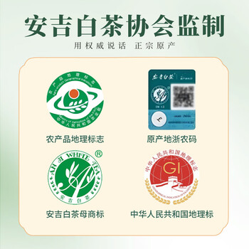 打鼓岭茶叶绿茶 正宗安吉白茶新茶春茶明前100克中秋礼盒送人
