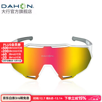 大行（DAHON） 骑行眼镜变色偏光眼镜防风沙护目镜运动户外单车骑行装备 002款（白色）