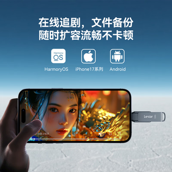 雷克沙(Lexar)128GB USB3.2 Type-C手机U盘D400 手机电脑两用 金属双接口 OTG 安卓苹果17笔电优盘 雷克沙(Lexar)128GB USB3.2 Type-C手机U盘D400 手机电脑两用 金属双接口 OTG 安卓苹果17笔电优盘