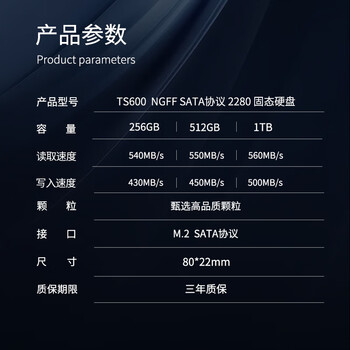 TANLR 探路人1TB SSD固态硬盘 M.2 SATA协议2280NGFF 台式笔记本通用固态硬盘 读速高达560MB/s 镭凌TS600