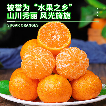 沙糖桔价钱型号规格- 京东