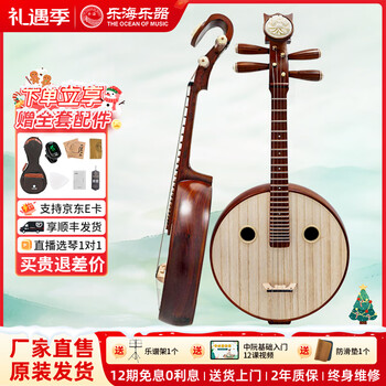 乐海中阮价格报价行情- 京东