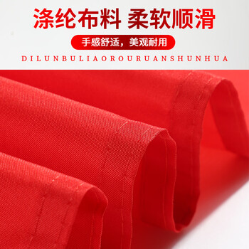 易利丰（elifo）加厚5号党旗标准旗帜手持五号尺寸64*96cm挂墙面旗子纳米防水涤纶面料办公室会议室内壁挂式装饰