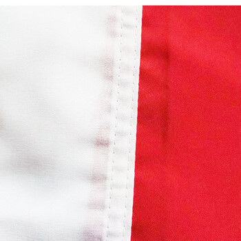 格立特（gelite）加厚空白红旗旗帜外挂彩旗红色旗子小大红旗户外不带杆纯红旗手持纯色空白旗布团建运动会表演出用