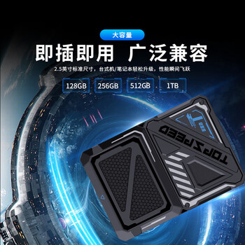 TANLR 探路人256GB SSD固态硬盘 SATA3.0接口高速TLC颗粒 读速540MB/s 台式机笔记本电脑存储配件 镭豹T560系列