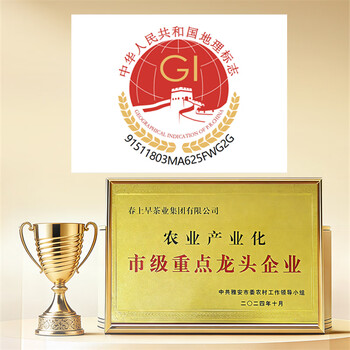 春上早茉莉花茶 新茶浓香型茉莉毛尖特级飘雪年货礼盒茶叶罐装125g