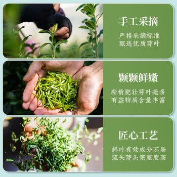 至鼎绿茶 雀舌 湄潭明前特级嫩芽茶叶自己喝口粮茶250g