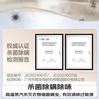 松下（Panasonic）【烫衣神器】手持挂烫机25g/min水箱0.12升蒸汽熨烫机家用小型电熨斗出差旅行便携除皱NI-GHK045-C