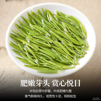 陈一凡毛尖茶250g 特级浓香型春茶明前炒青绿茶茶叶袋装
