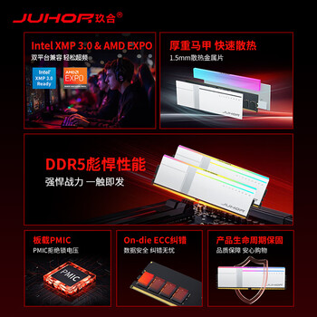JUHOR玖合 32GB(16GBx2)套装 DDR5 6000 台式机内存条  海力士A-die颗粒 CL28 异刃RGB灯条