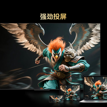 TCL雷鸟电视 43雀5 25款 43英寸 144Hz高刷 2+32GB内存 自定义遥控器 家电电视43F295C