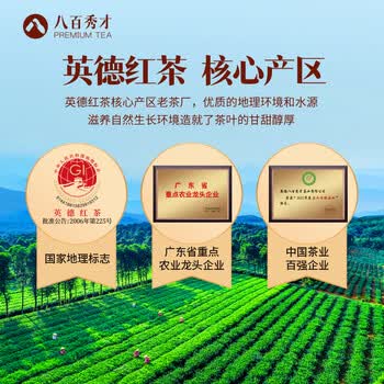 八百秀才广东特产英德红茶英红九号 茶叶礼盒送礼醇香型500g新包装 赠礼袋